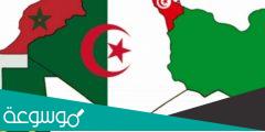 ماذا يحد الجزائر من الشمال والجنوب والشرق والغرب