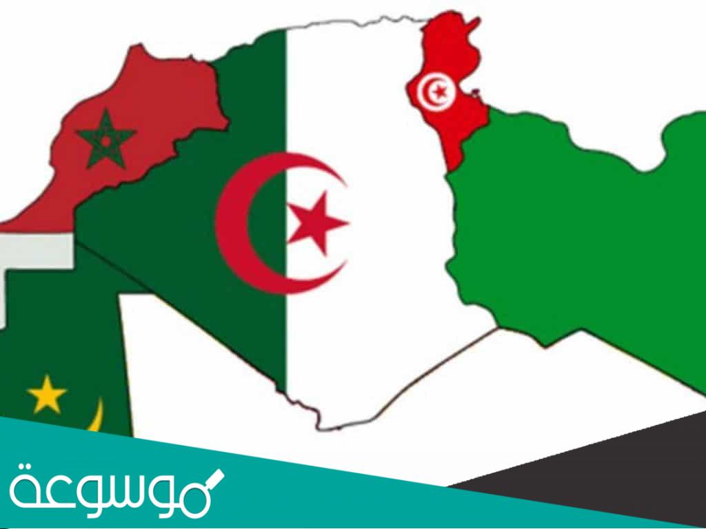 ماذا يحد الجزائر من الشمال والجنوب والشرق والغرب