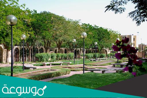 معلومات عن برنامج الرياض الخضراء المهارات الرقمية