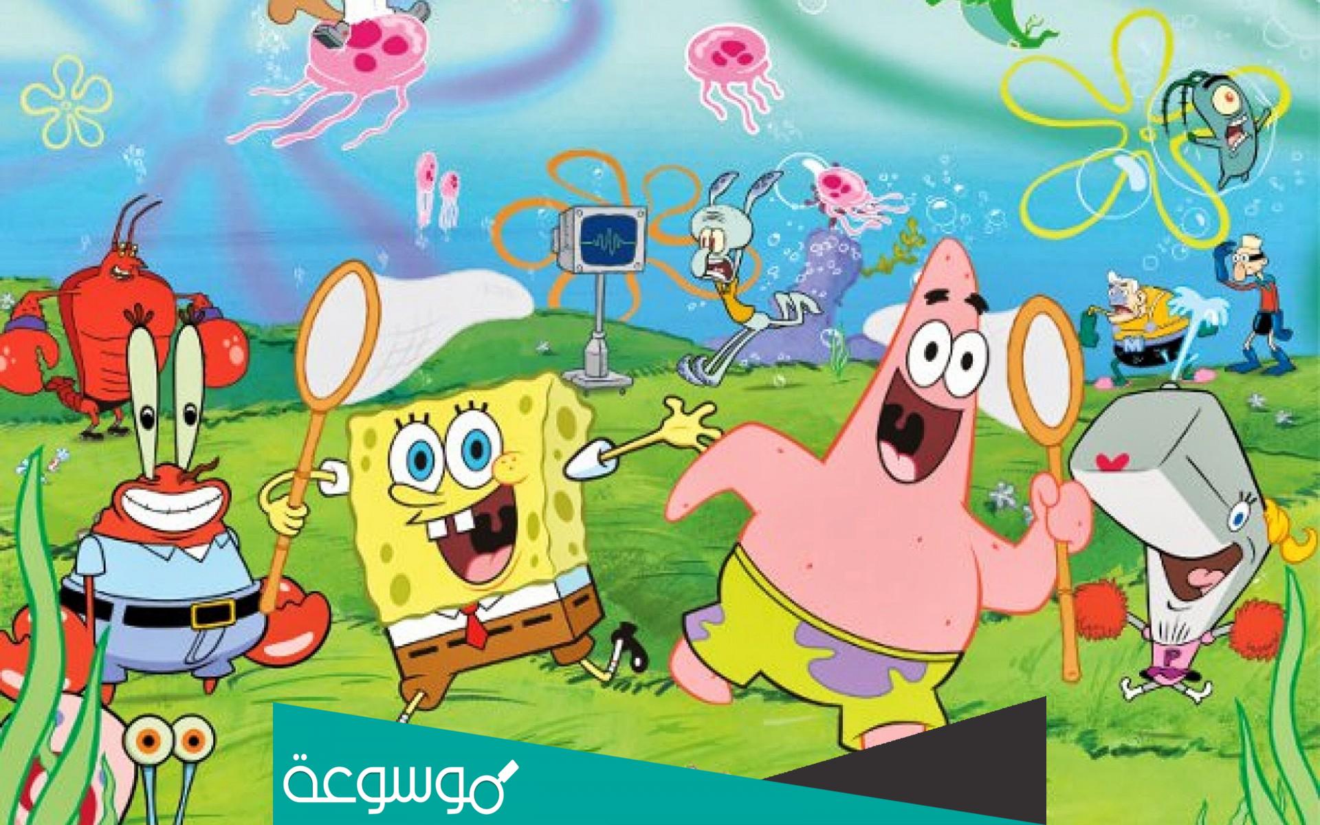 معلومات عن قاع الهامور ويكيبيديا