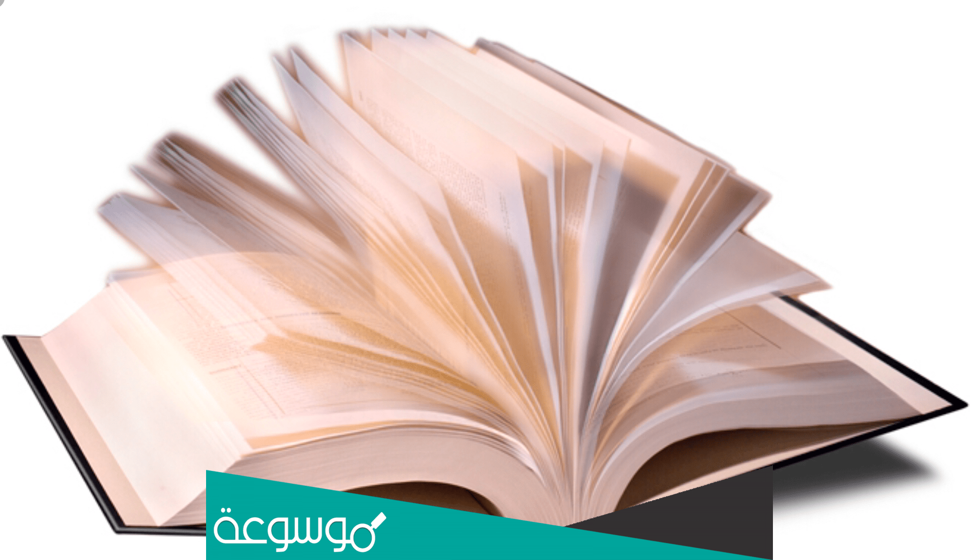 ما معنى كلمة زول