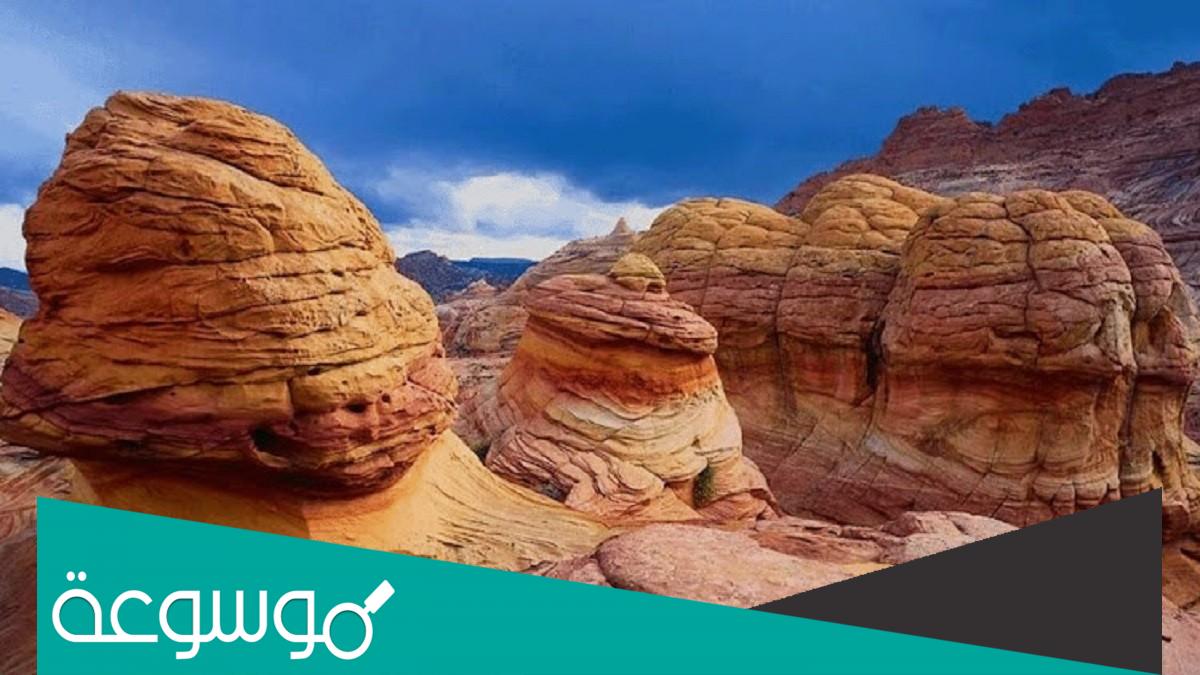 من هم الجيولوجيون