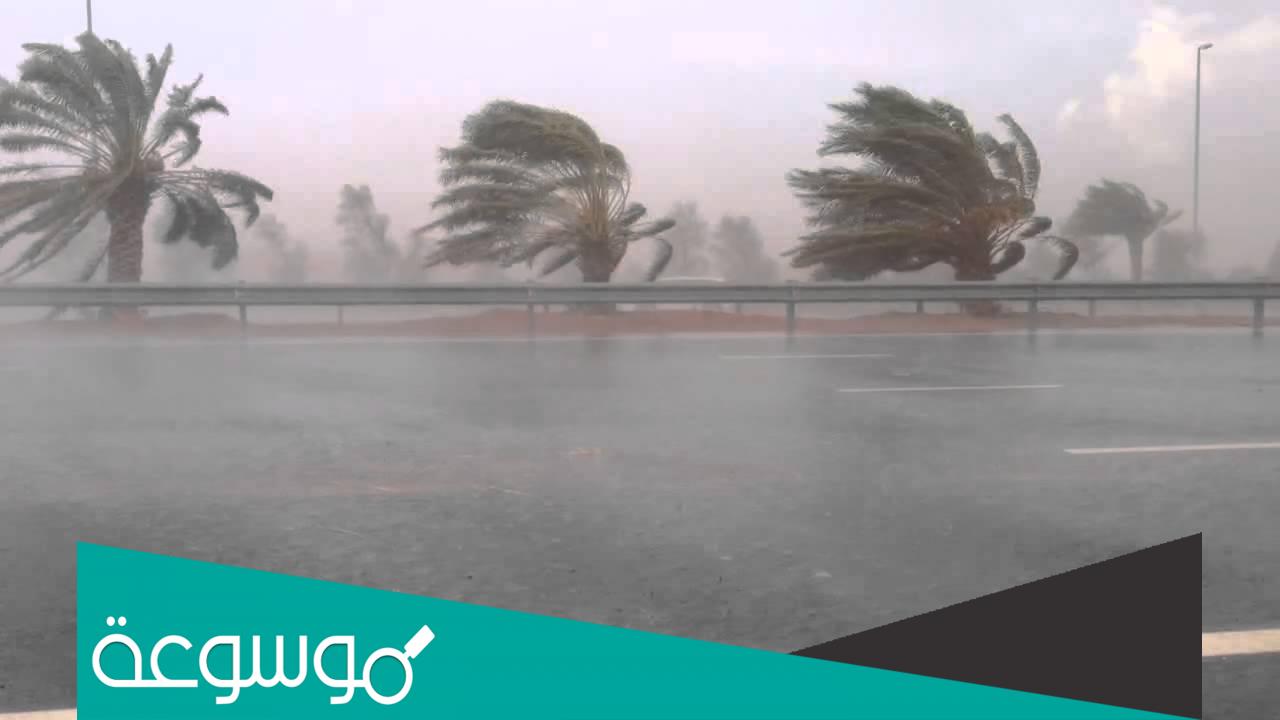 موجه البرد متى تنتهي