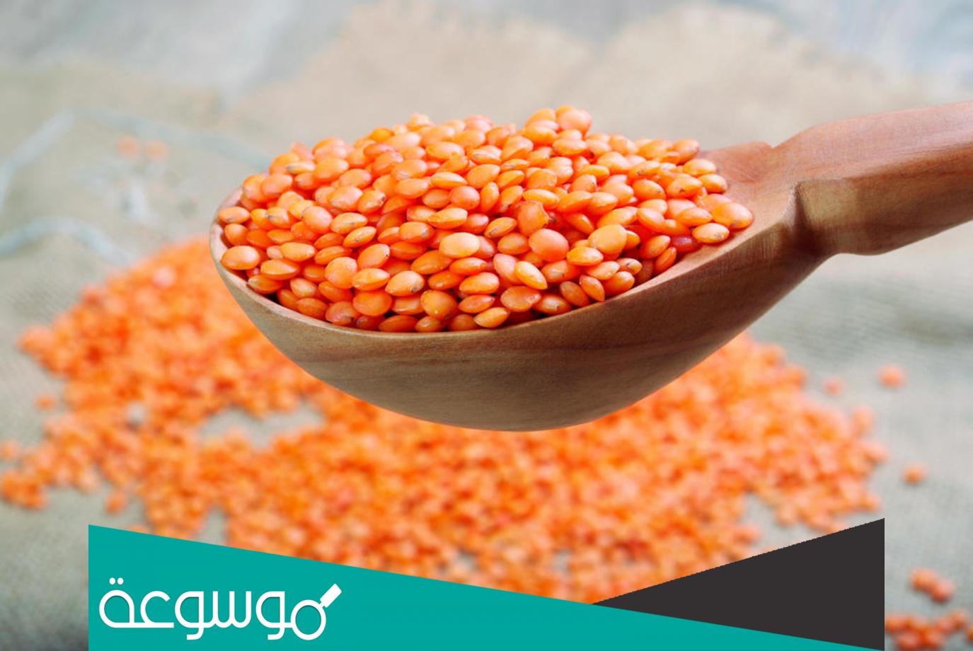 هل العدس يسمن ويزيد الوزن