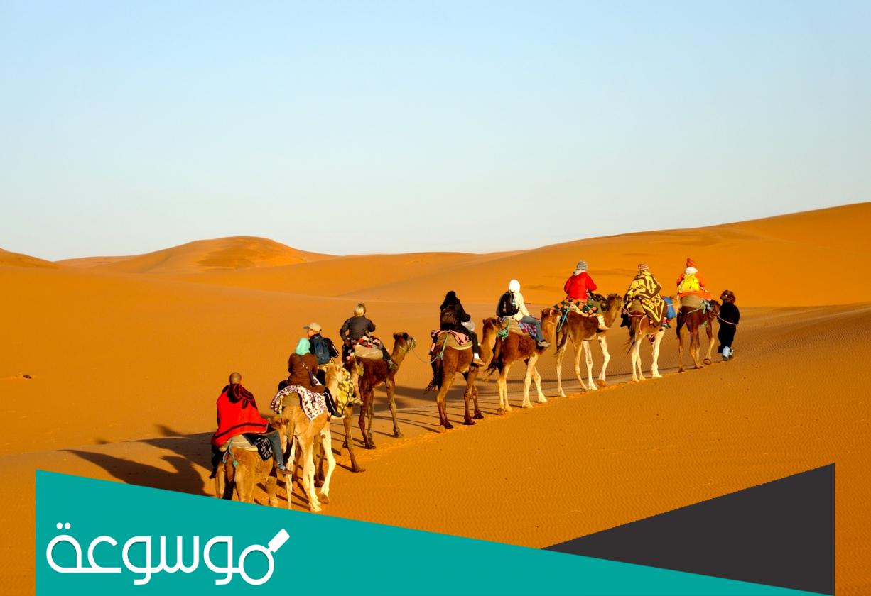 كم عدد قبيلة عتيبة