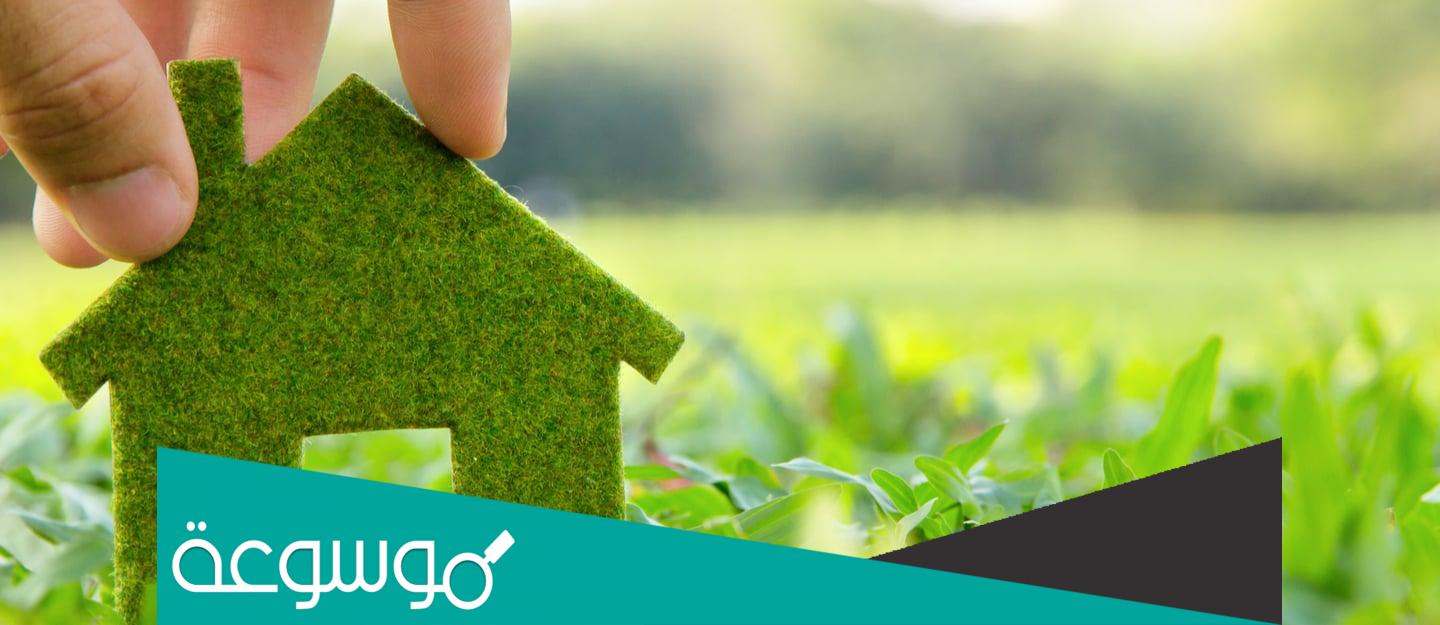 10 أفكار للمحافظة على بيئة مدرستي