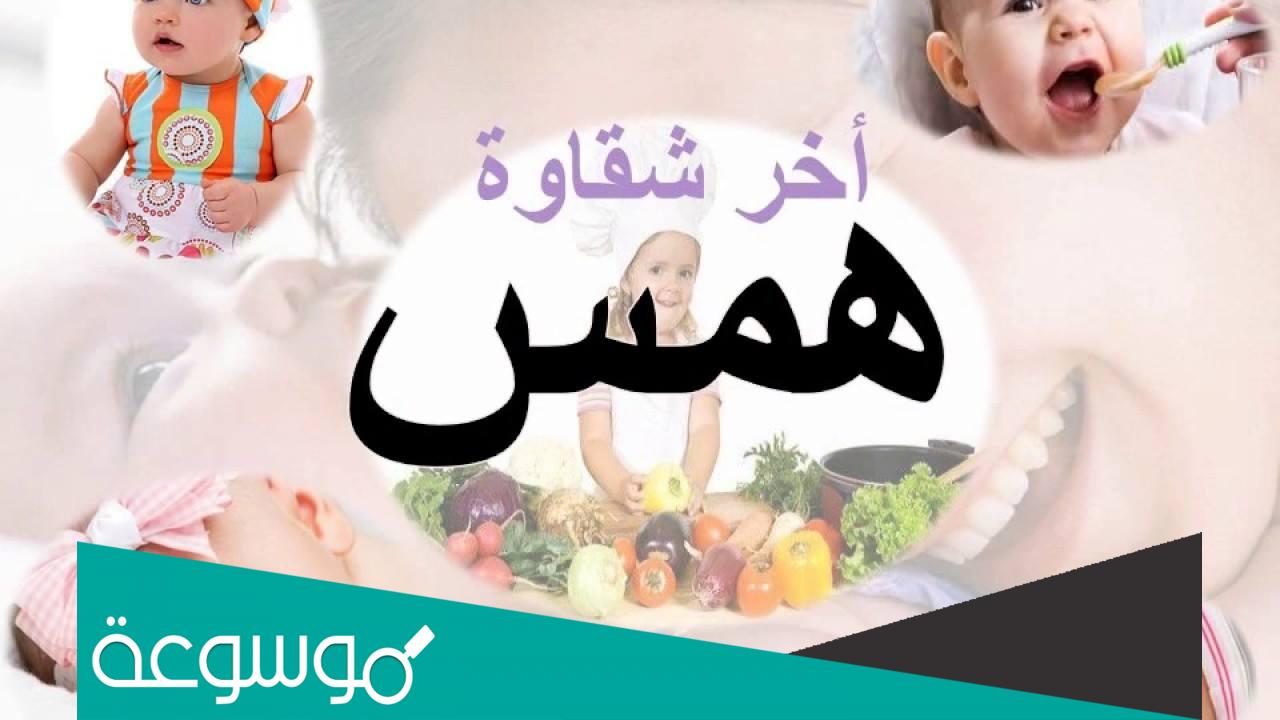 ما معنى اسم همس في القران الكريم واللغة العربية