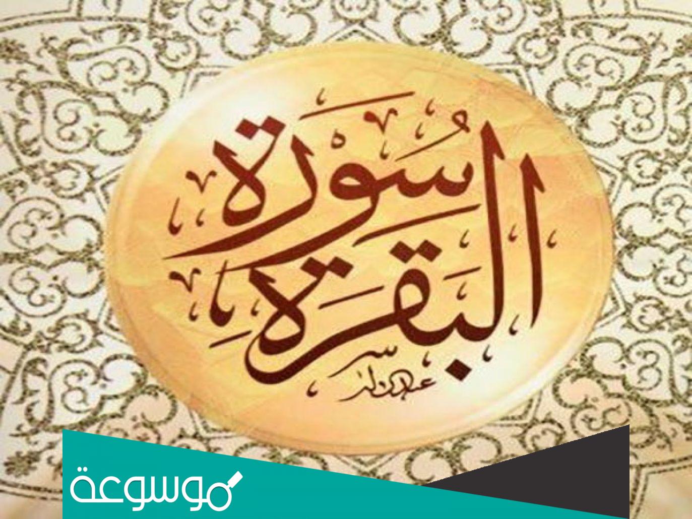 تفسير رؤية سورة البقرة في المنام وقراءتها حسب تفسير ابن سيرين