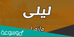 تفسير رؤية اسم ليلى في المنام تفسيرات مختلفة حسب تفسير ابن سيرين