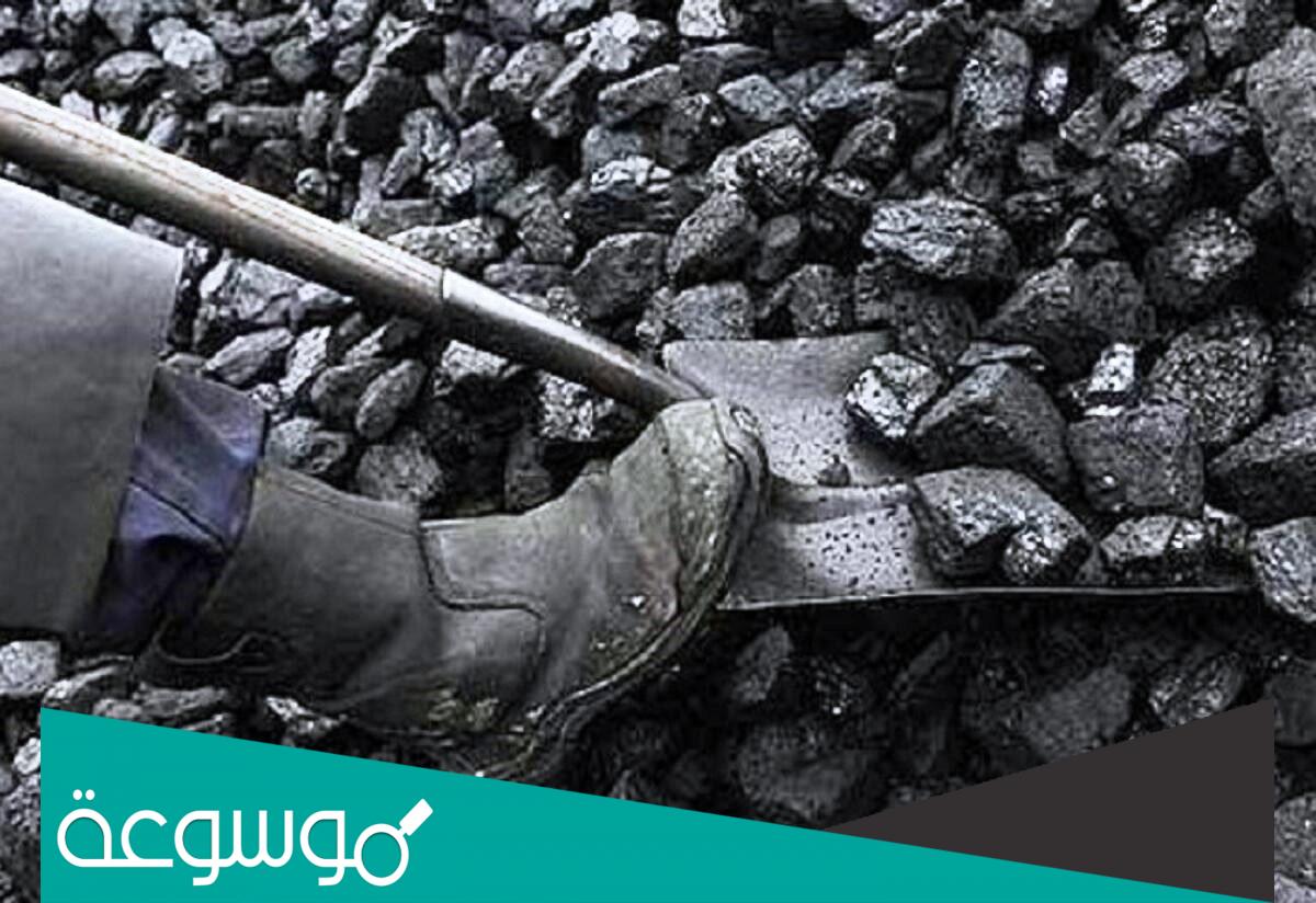 تفسير رؤية جمع الفحم في المنام حسب تفسير ابن سيرين