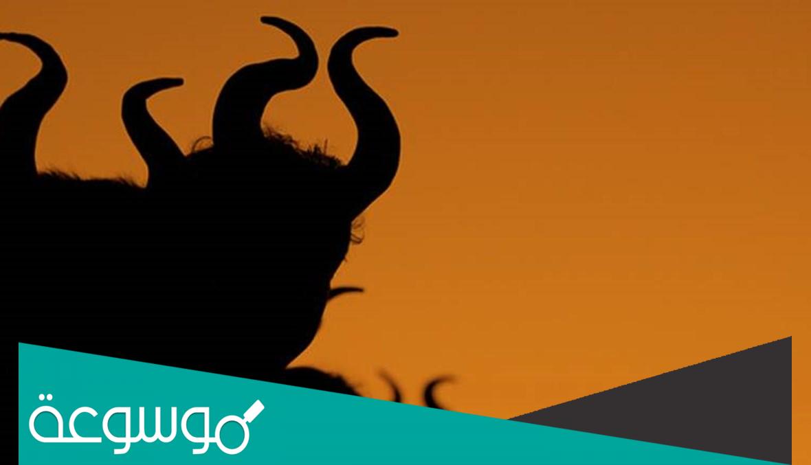 تفسير رؤية يضربني الشيطان في المنام تفسيرات مختلفة