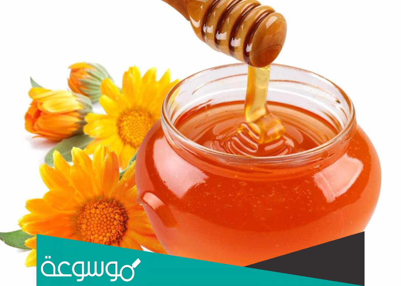 تفسير رؤية العسل في المنام حسب تفسير ابن سيرين