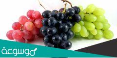 تفسير رؤية العنب في المنام حسب تفسير ابن سيرين للمرأة العزباء والمتزوجة