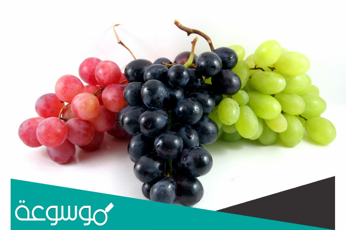 تفسير رؤية العنب في المنام حسب تفسير ابن سيرين للمرأة العزباء والمتزوجة