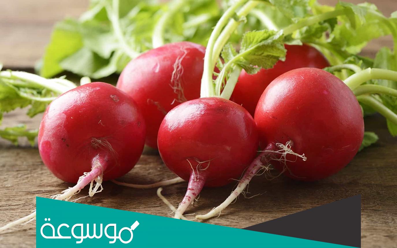 تفسير رؤية الفجل في المنام تفسيرات مختلفة