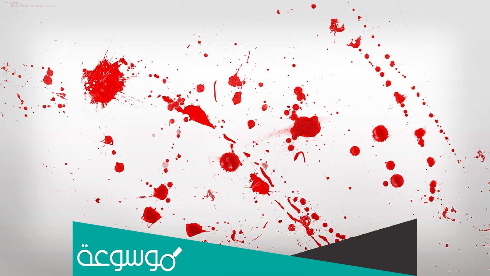 تفسير رؤية دم حيوان في المنام حسب تفسير ابن سيرين