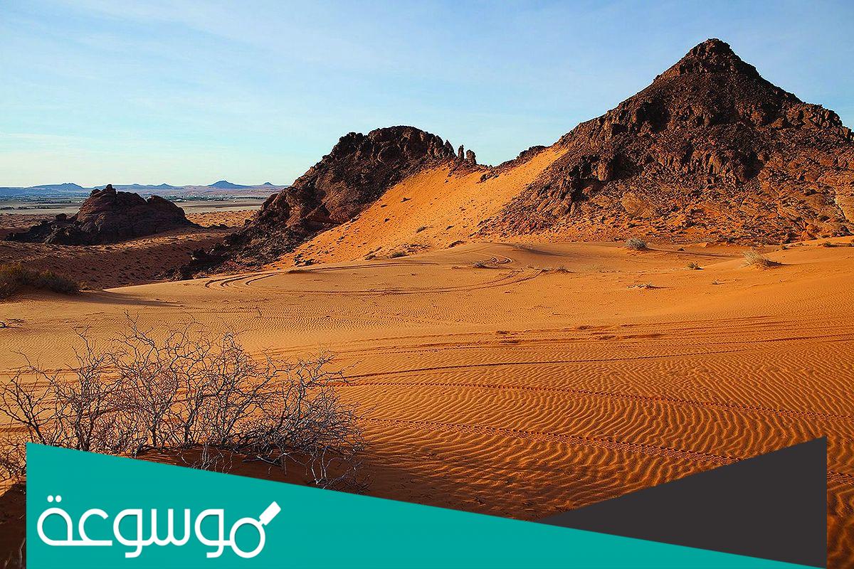 تفسير رؤية الرمل في المنام حسب تفسير ابن سيرين