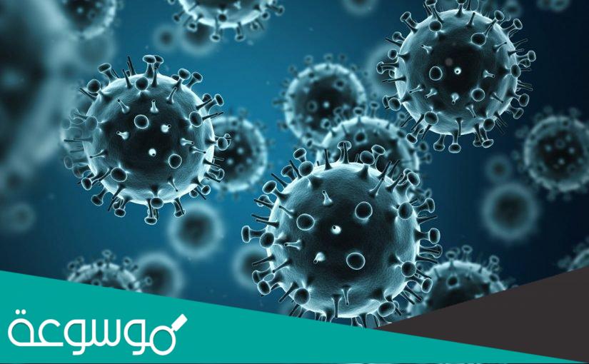خبر صحفي جاهز قصير عن كورونا