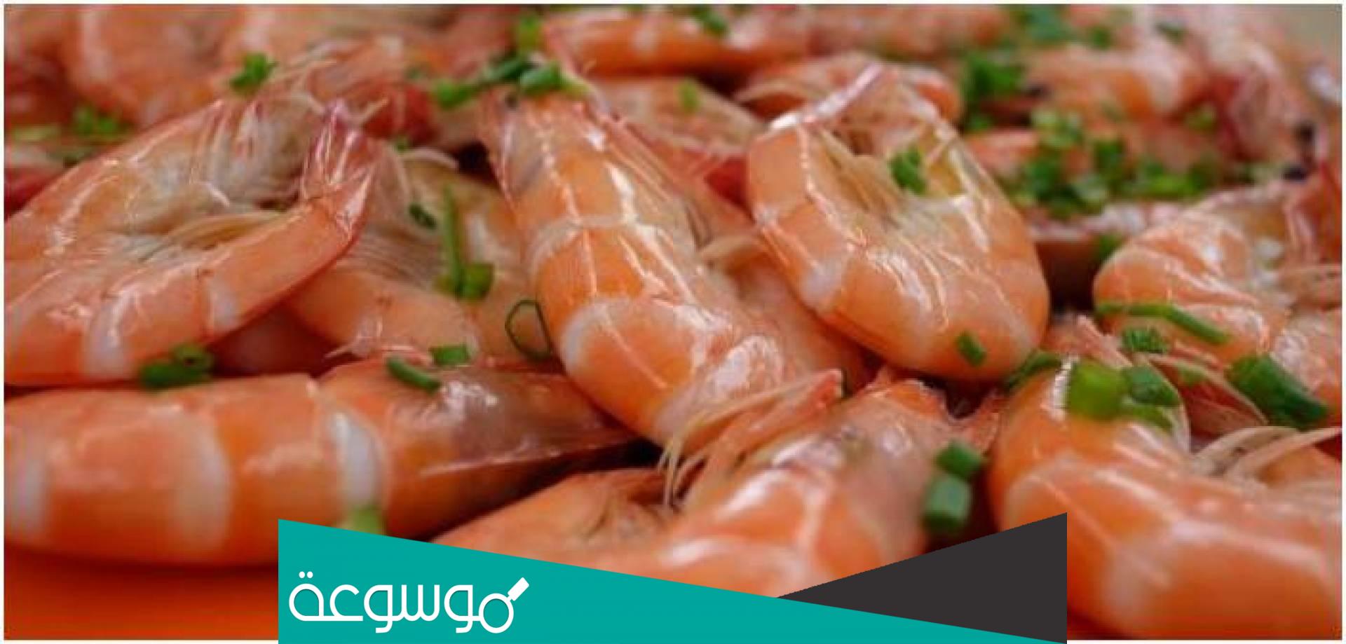 تفسير رؤية القريدس في المنام تفسيرات مختلفة