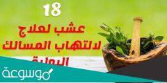 علاج التهاب المسالك البولية بالأعشاب الطبيعية