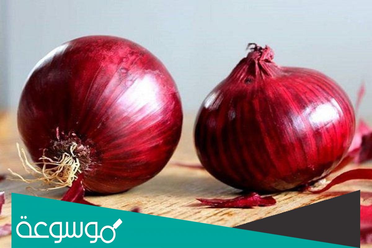 تفسير رؤية البصل في المنام حسب تفسير ابن شاهين والنابلسي