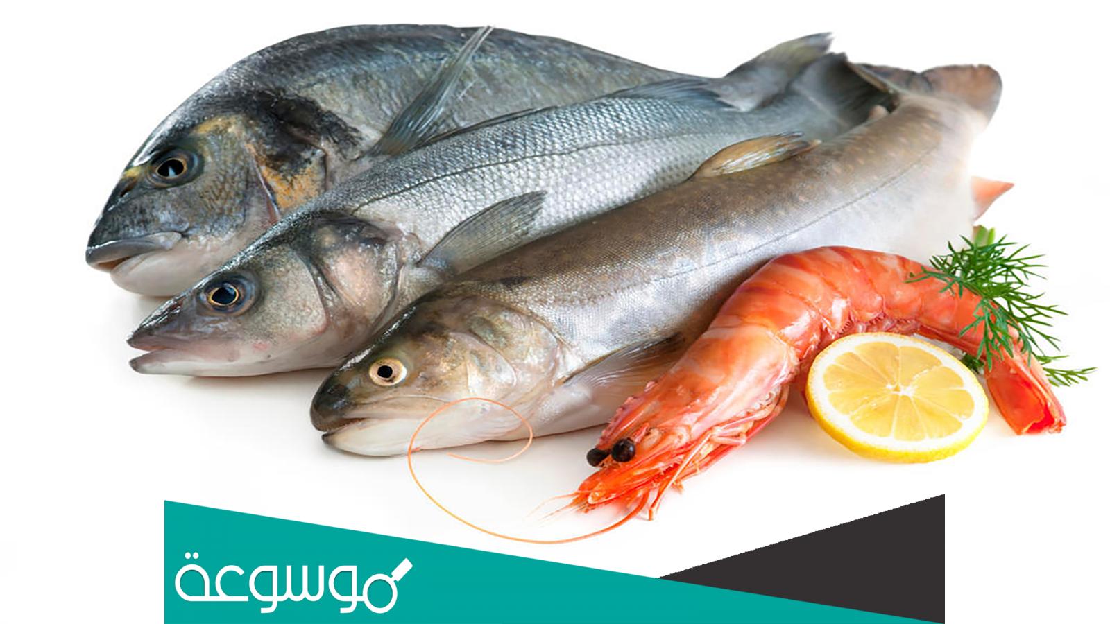 تفسير رؤية السمك في المنام حسب تفسير ابن سيرين والنابلسي