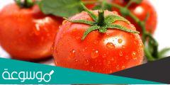 تفسير رؤية الطماطم في المنام للعزباء والمرأة الحامل والرجل