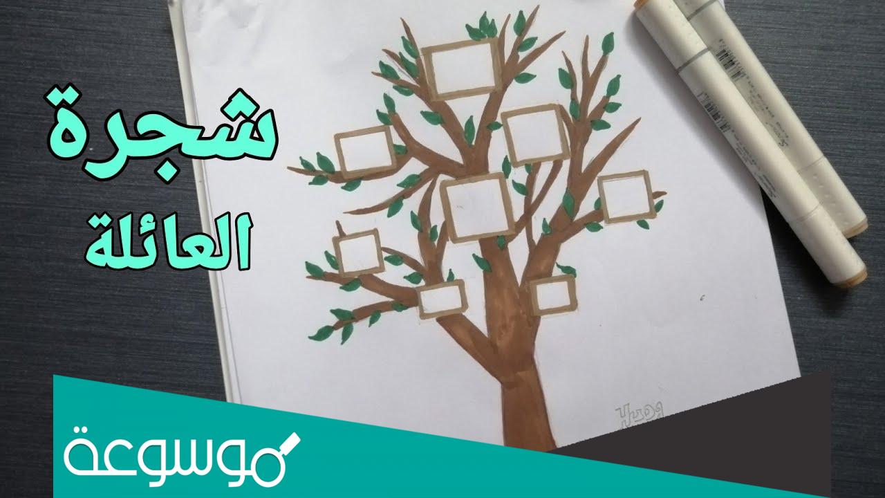 كيفية استخراج شجرة العائلة من دار الوثائق