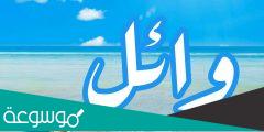 معنى اسم وائل في اللغة العربية وفي الإسلام