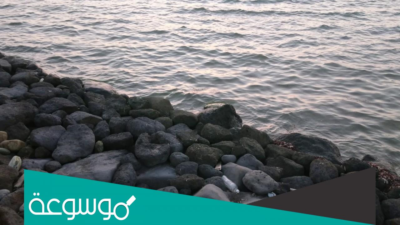 تفسير رؤية تصوير البحر في المنام حسب تفسير ابن سيرين