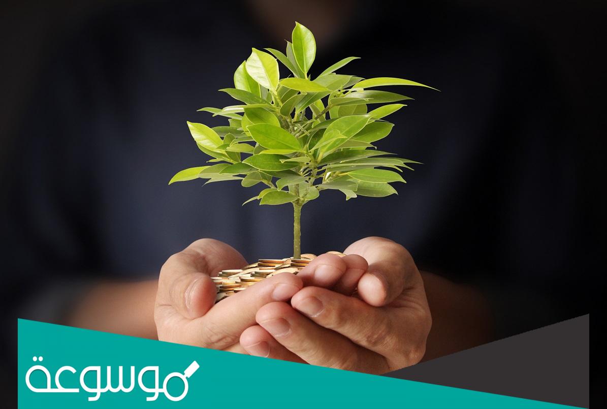 بحث عن الصدقة كامل والفرق بين الصدقة والزكاة