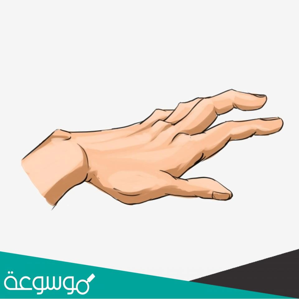 تفسير رؤية قطع يد كف اليد اليسرى في المنام حسب تفسير ابن سيرين