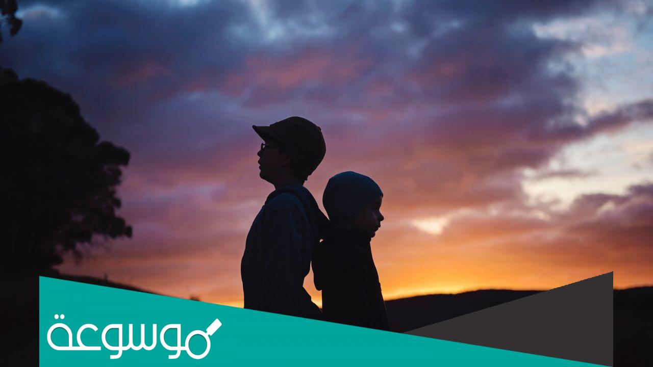 تفسير رؤية الأخ في المنام حسب تفسير ابن سيرين والنابلسي