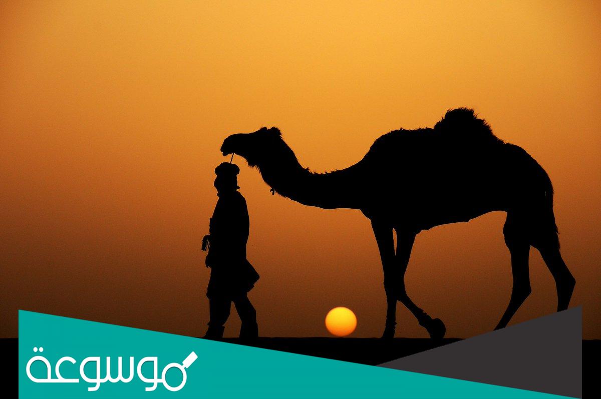 ابن جخدب وش يرجع