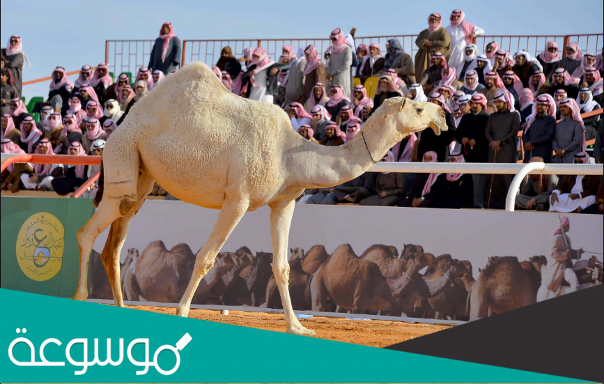 ابن دغيثر من أي قبيلة