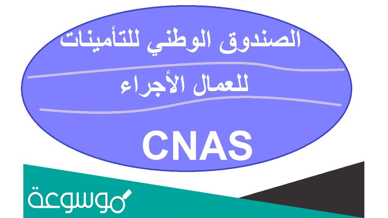 استخراج شهادة الانتساب cnas من الانترنت