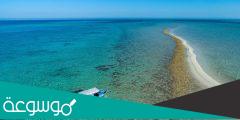 اسماء اشهر الجزر السعودية