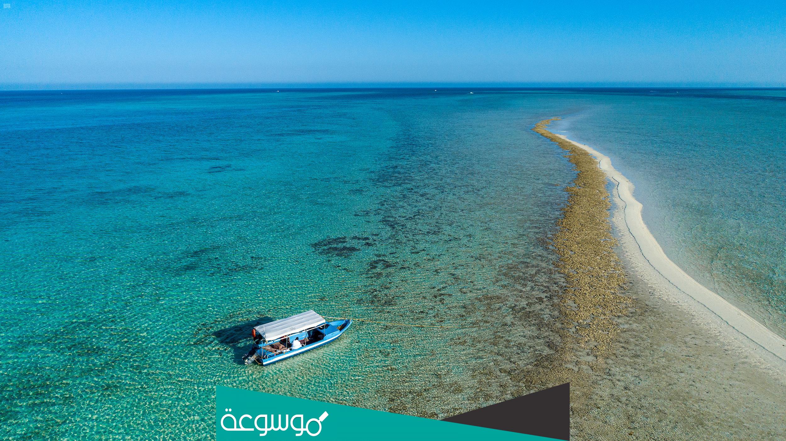 اسماء اشهر الجزر السعودية