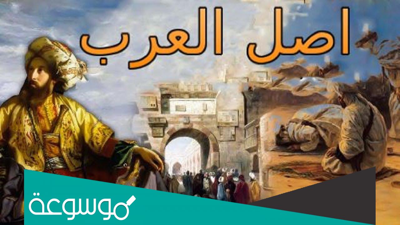 اصل العرب من اين
