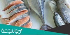 افضل انواع السمك في السعودية والخليج العربي