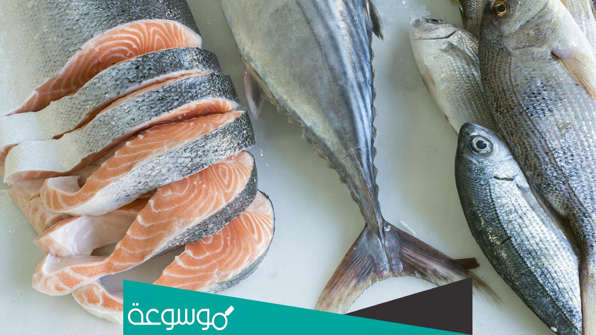 افضل انواع السمك في السعودية والخليج العربي
