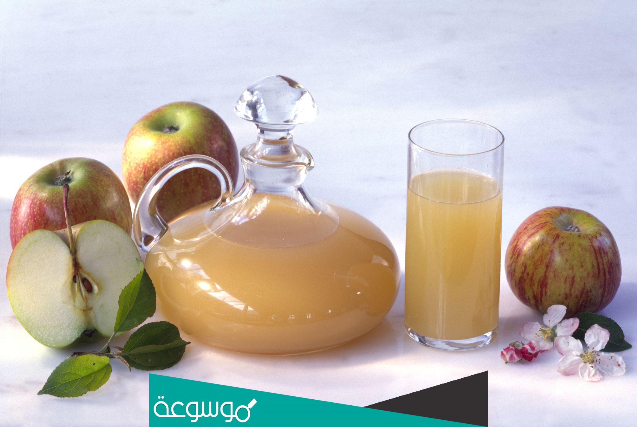 افضل خل تفاح عضوي في السعودية