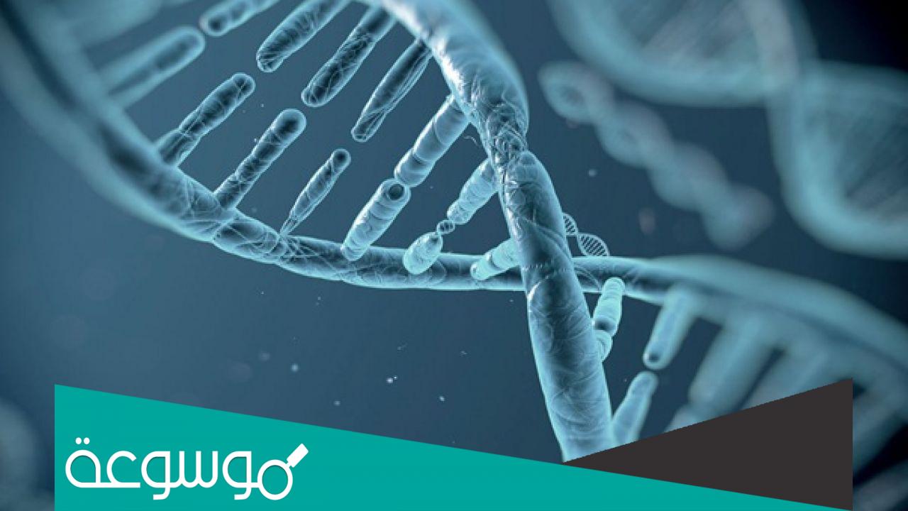 افضل مدرس احياء بالاسكندرية