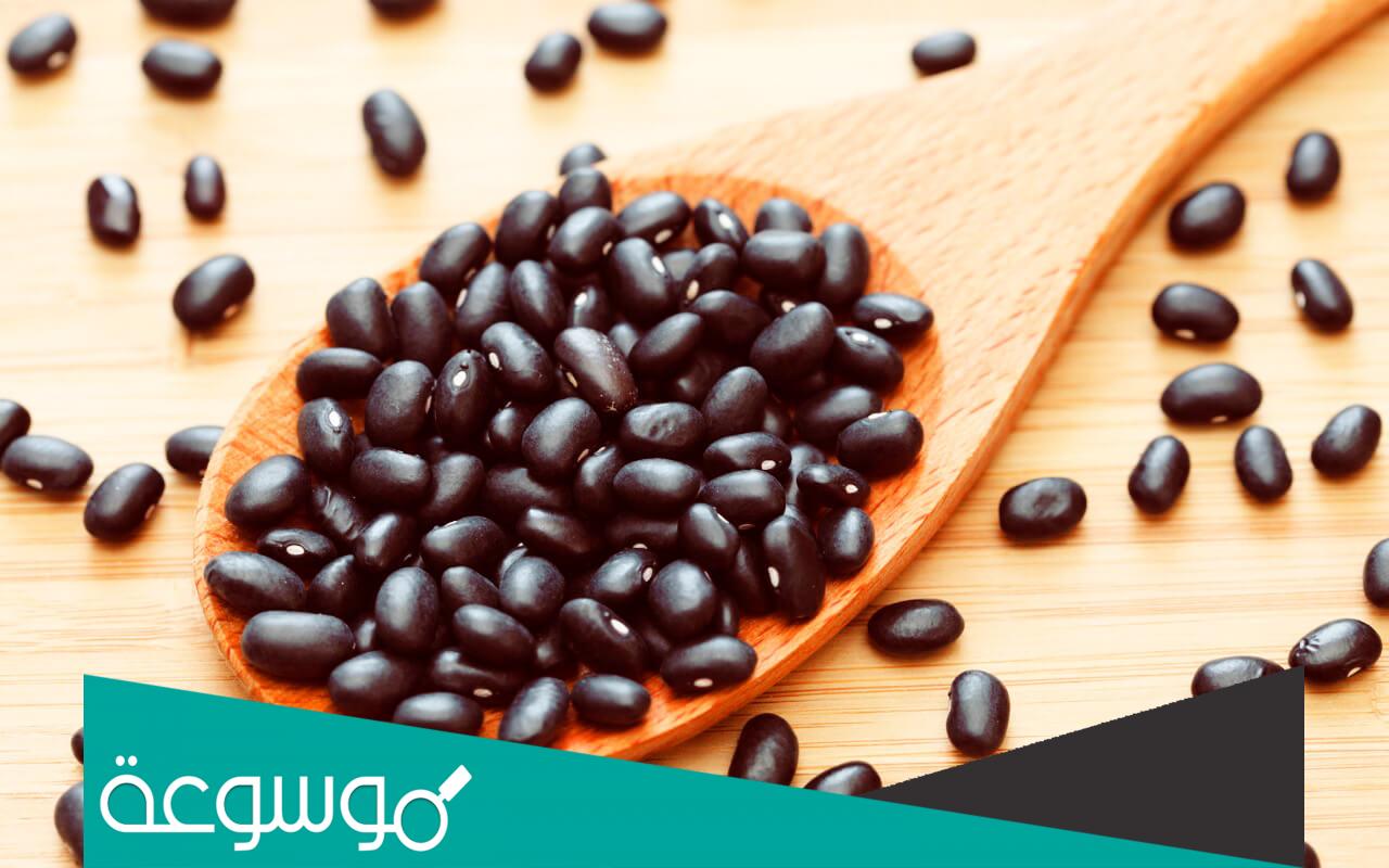تفسير رؤية الفاصوليا السوداء في المنام