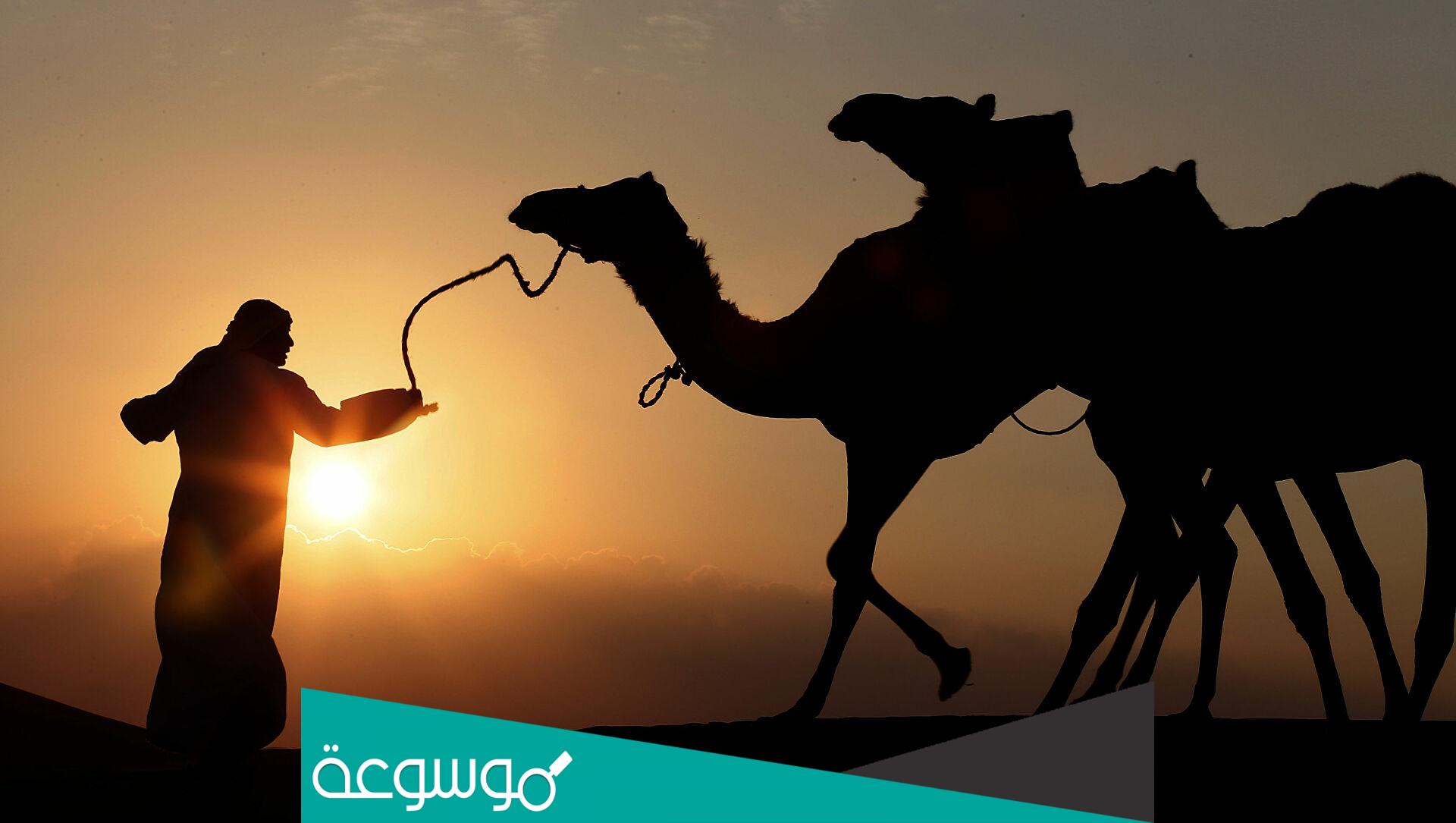 التويجري من وين