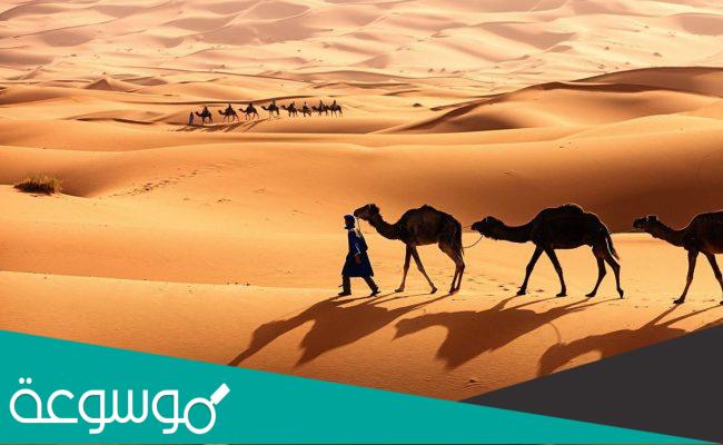 الجوعي وش يرجع