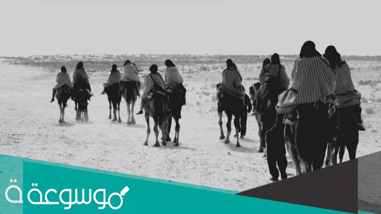 السالمي وش يرجعون