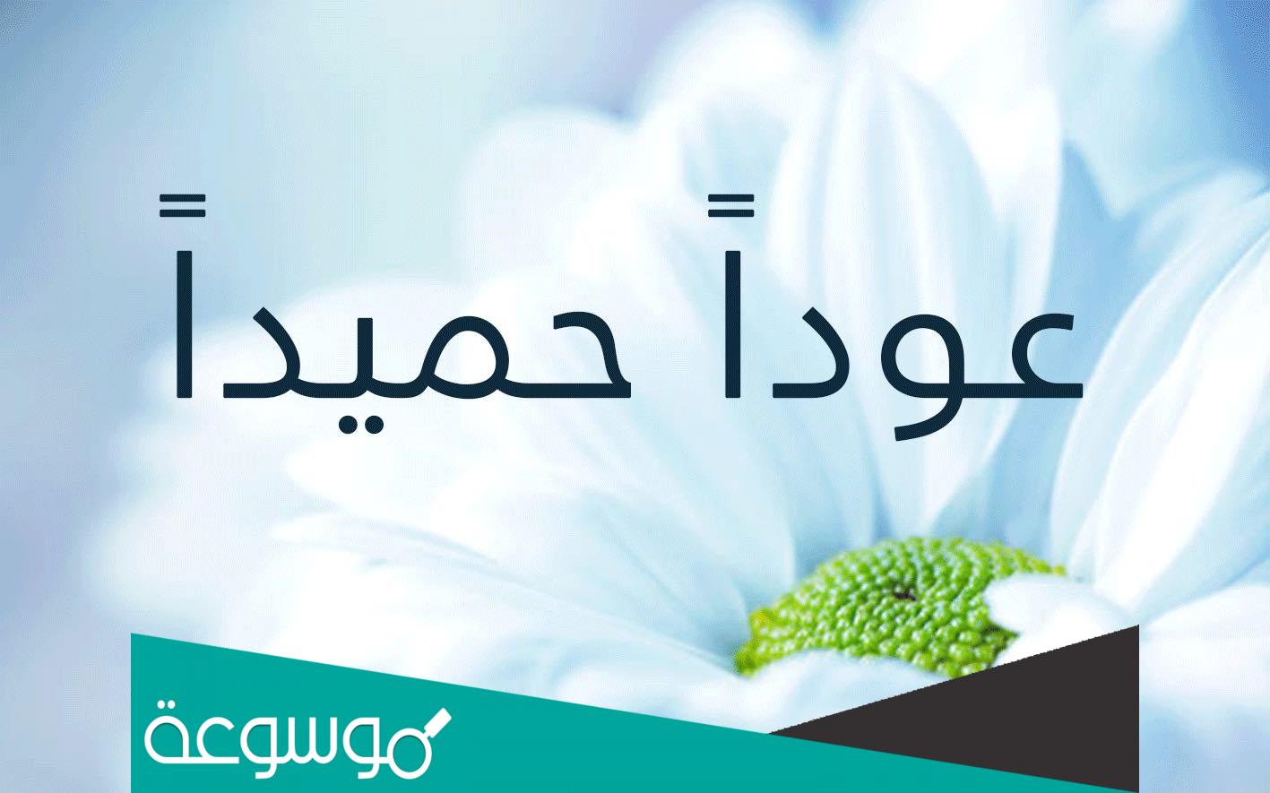 الرد المناسب على عودا حميدا