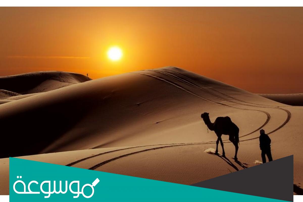 السميري وش يرجع