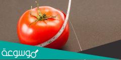 الطماطم لانقاص الوزن